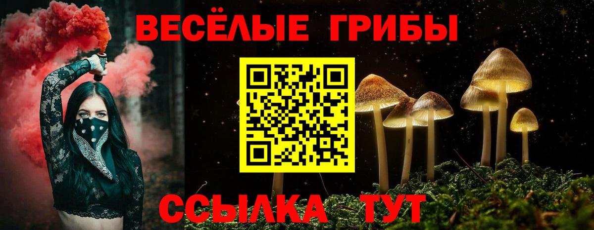 Галлюциногенные грибы Magic Shrooms  Грязи 