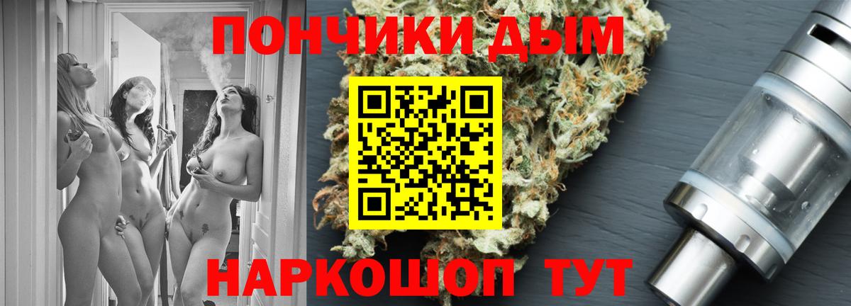 Каннабис семена  Каннабис THC 21%  Грязи  Канабис SATIVA & INDICA 